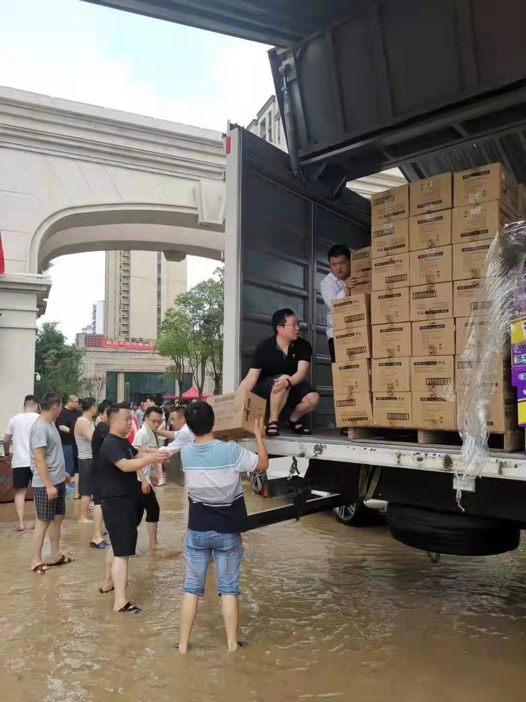 体育6686股份