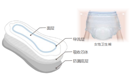 体育6686股份